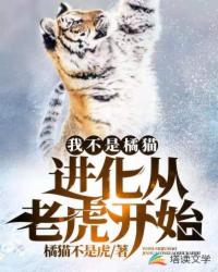 我不是橘猫！进化从老虎开始